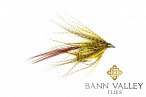 Photo of a Bann Valley Fly